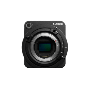 Aenean non pellentesque mauris